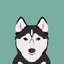 Husky, impression sur toile tendue-19741847-74737755-74737756