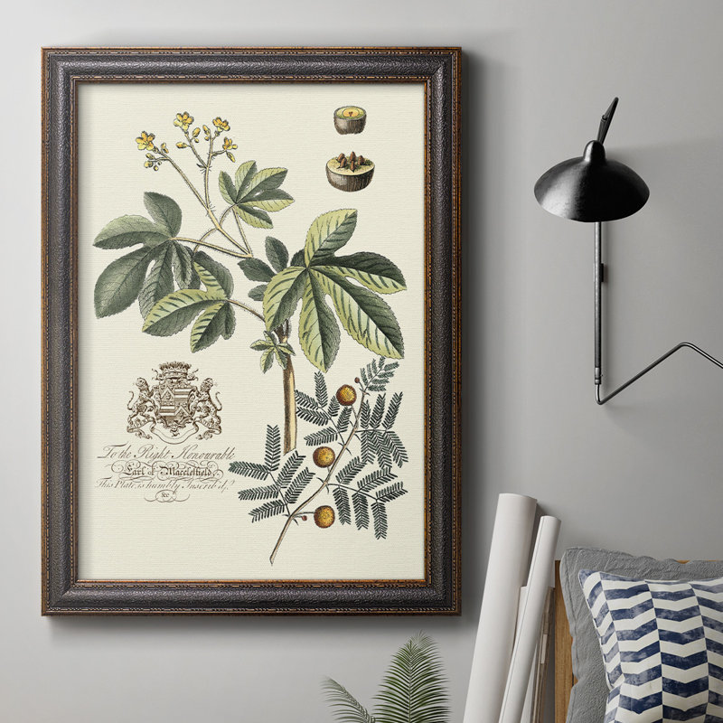 Toile encadrée de qualité supérieure Imperial Foliage I - prête à être accrochée, H 27 po x l 18 po x P 2,5 po