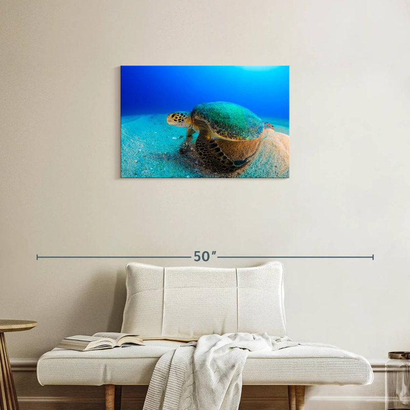 Brampt Resting Sea Turtle, 20" H x 30" W