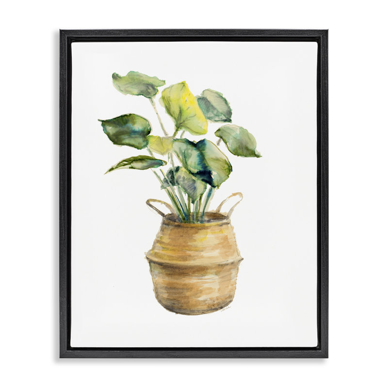 "Plant in Pottery", art mural sur toile flottante par Lanie Loreth, Cadre flottant noir de jais, H 21 po x l 17 po