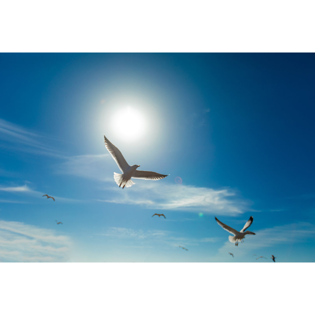 Flying Seagulls Over Sky von Bymuratdeniz - Ohne Rahmen auf Leinwand drucken