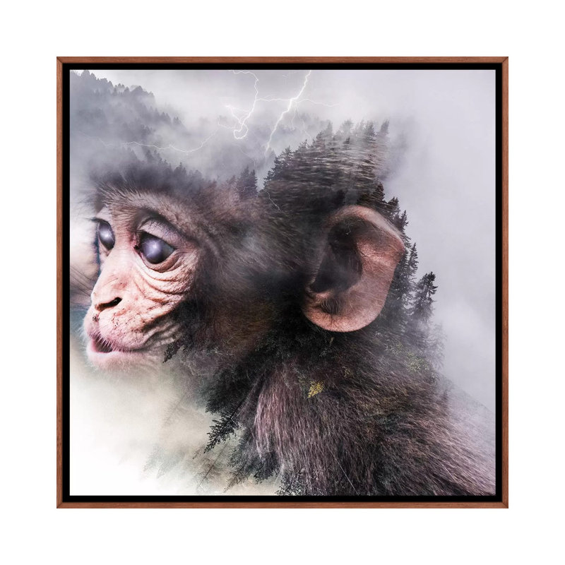Monkey by Paul Haag - Print on Canvas, 66.04 cm H x 66.04 cm W, Classic Brown Wood Framed