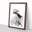 The Atlantic Puffin Bird - Framed Print-56921018-56921021