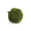 Ensemble de 3 barbs 5 "Barrientos ORBS-129903309