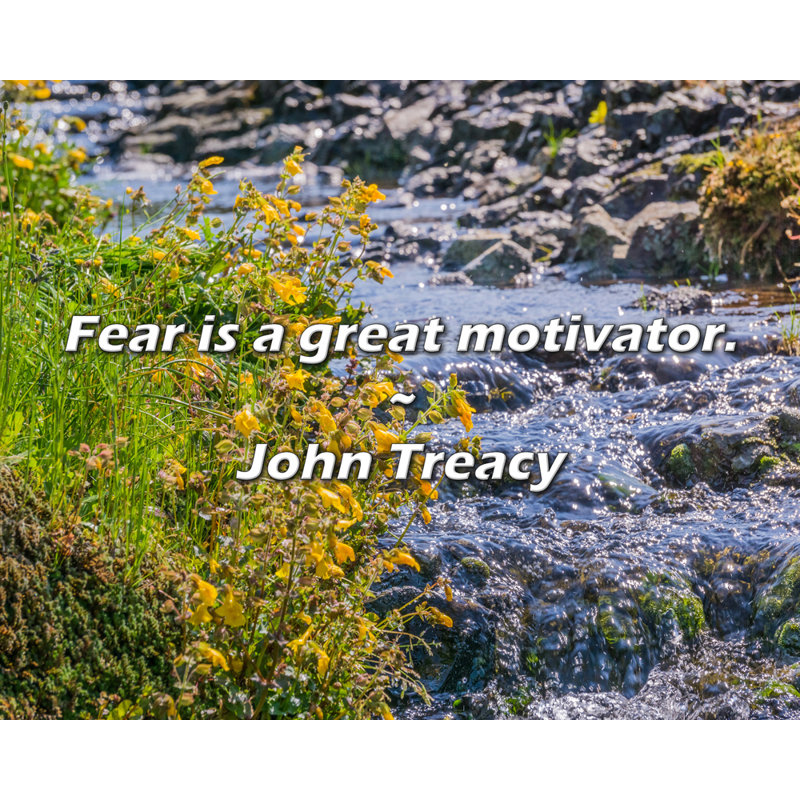 Citation de John Treacy: La peur est un excellent facteur de motivation., H 26 po x l 32 po