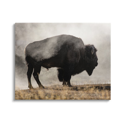 Puissant bison broutant en pleine campagne - peinture sur toile tendue