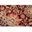 Pacuta Wool Oriental Rug