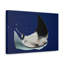 «Majestic Ray Art», impression murale