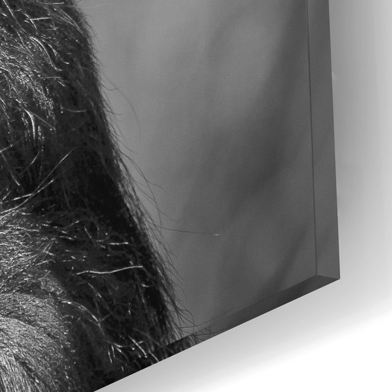 " Chimp " by SD Smart, 12" H x 16" W x 0.13" D