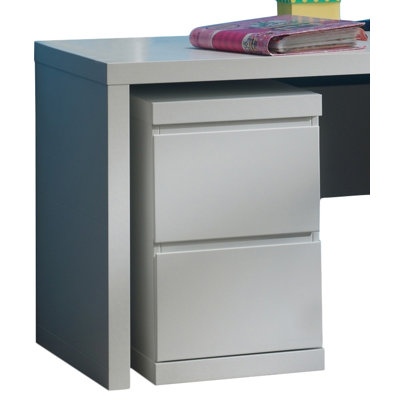 Sheddock 40cm Wide 2 -Drawer File Cabinet