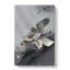 Eagle Hunting by Ohara Koson - Wrapped Canvas-55311835