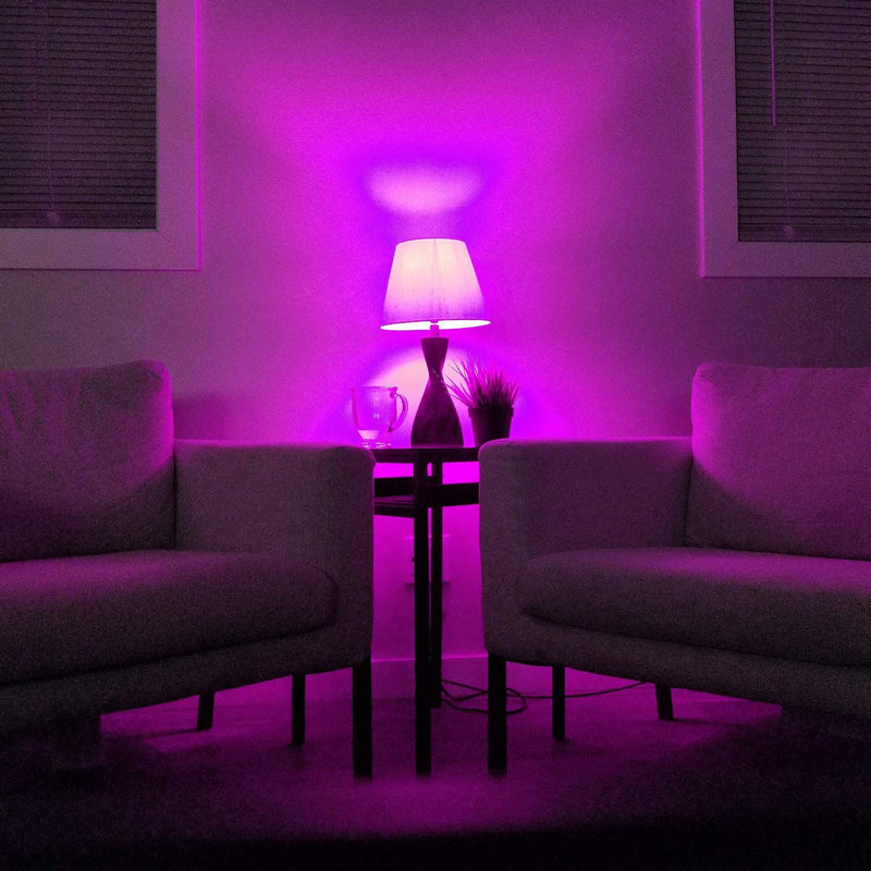 Paquet de 6 ampoules DEL à filament A19 à DEL à intensité variable et à intensité variable, finition mauve