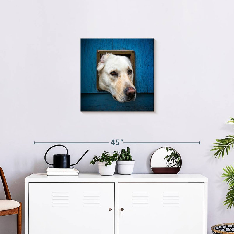 Crowle Labrador Head Peeping, 20" H x 20" W