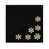 Black/Gold selected