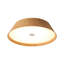 Flush Mount-1619339335
