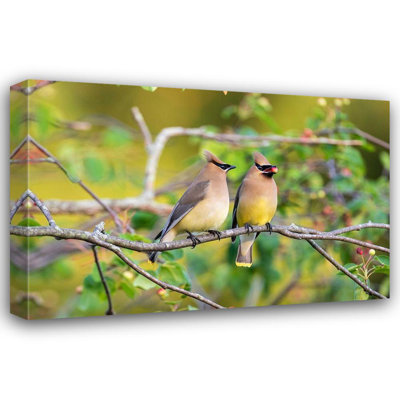 Art sur toile, Day, Richard and Susan: Cedar Waxwings échangeant des baies dans Serviceberry Bush