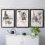 Ruckus I - Ensemble de 3 reproductions de cadres photo-926034870-926034875
