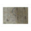 Oriental Area Rug