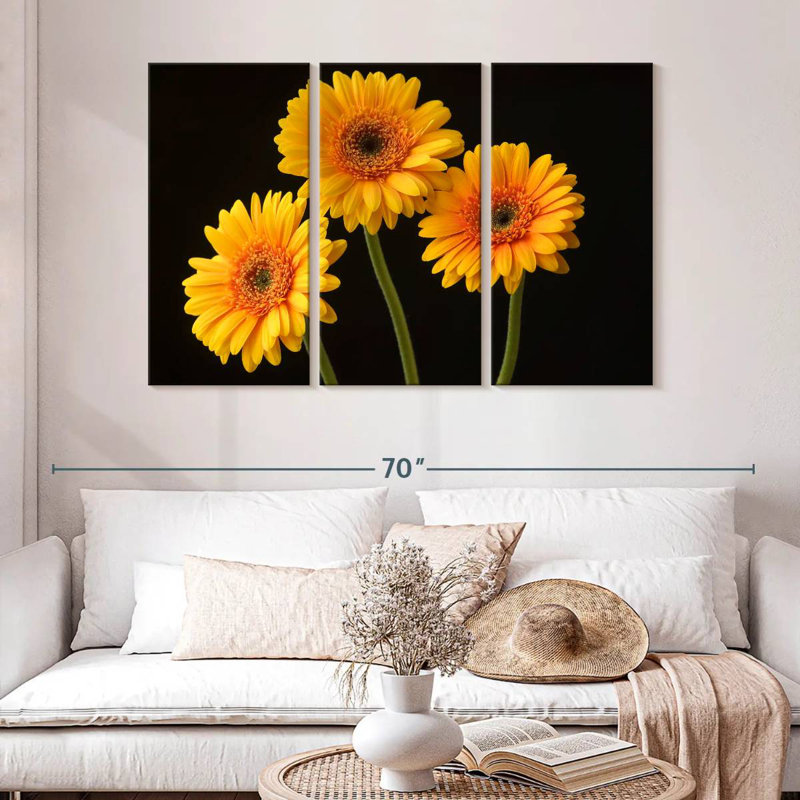 Trois marguerites Harnek sur fond sombre, H 32 po x l 50 po