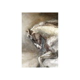 Wild Mustang Print by Nash Rambler