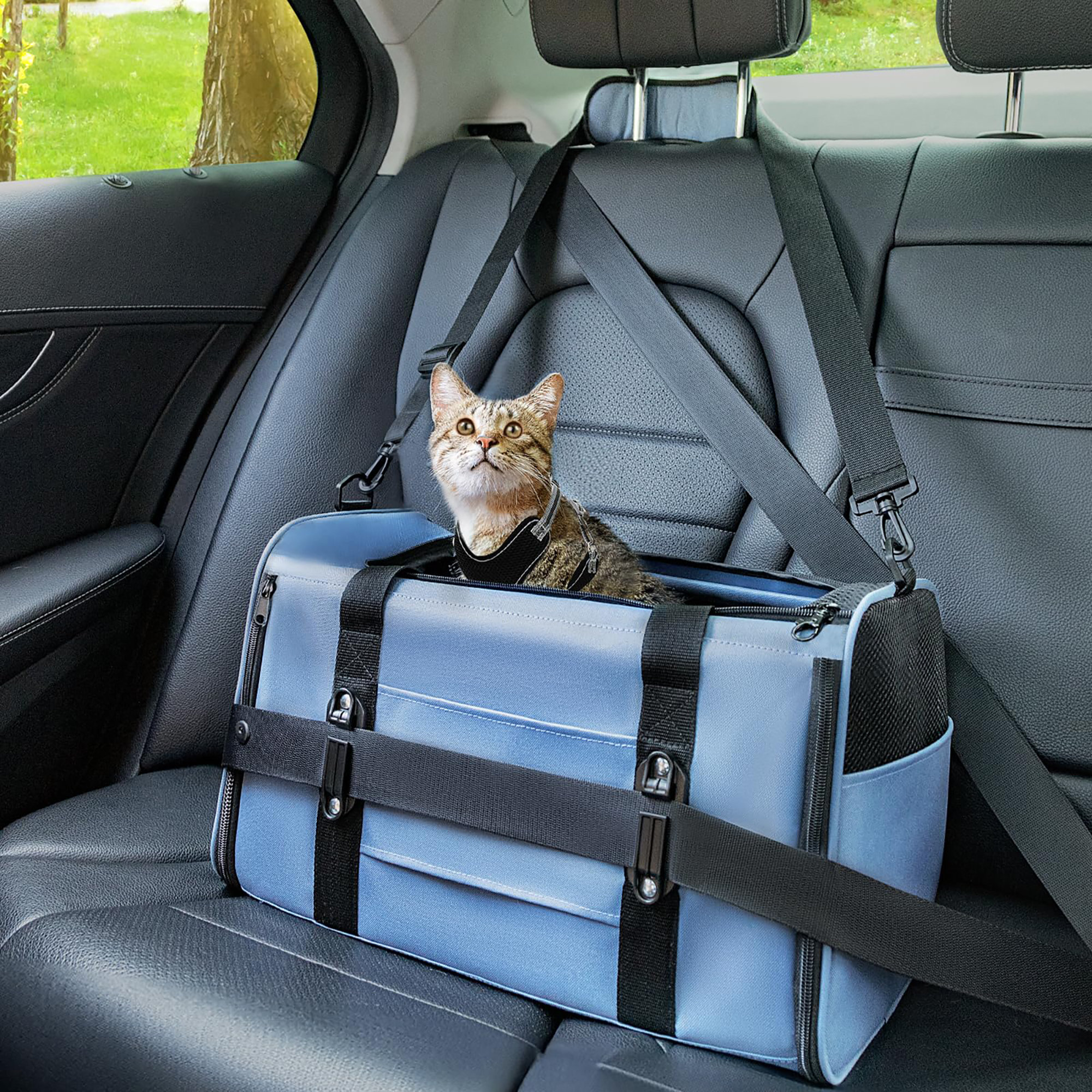Car Seats For Cats Wallpaper 8k