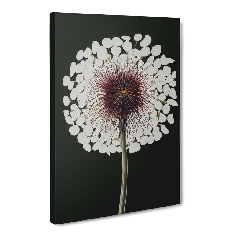 Dandelion - Wrapped Canvas, 60cm H x 40cm W x 3cm D