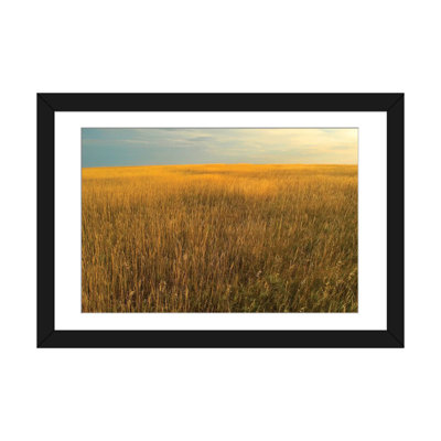 «Upper Prairie In Badlands National Park, South Dakota» par Tim Fitzharris - reproduction de photo sur toile tendue