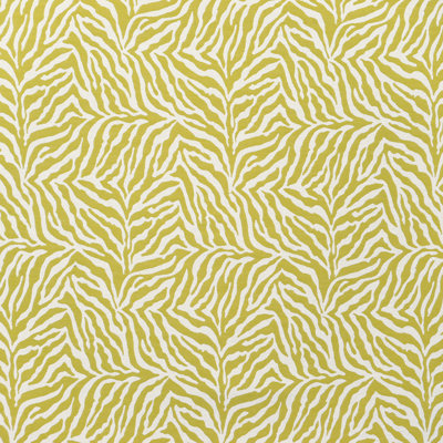 Rivas Fabric