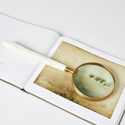Chiseled Bone Magnifying Glass