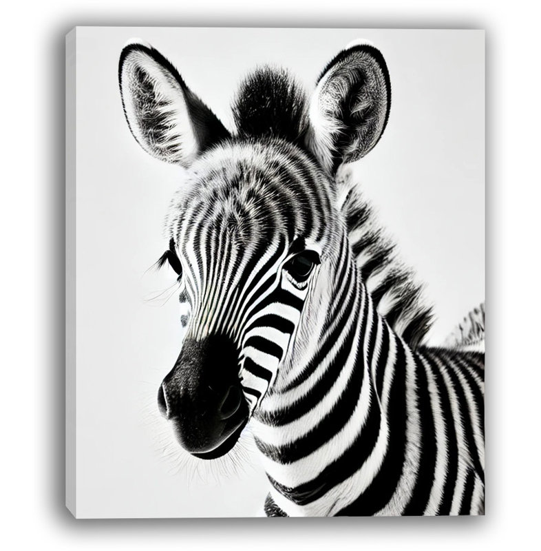 «Baby Zebra Elegance», art mural sur toile tendue, H 16 po x l 12 po