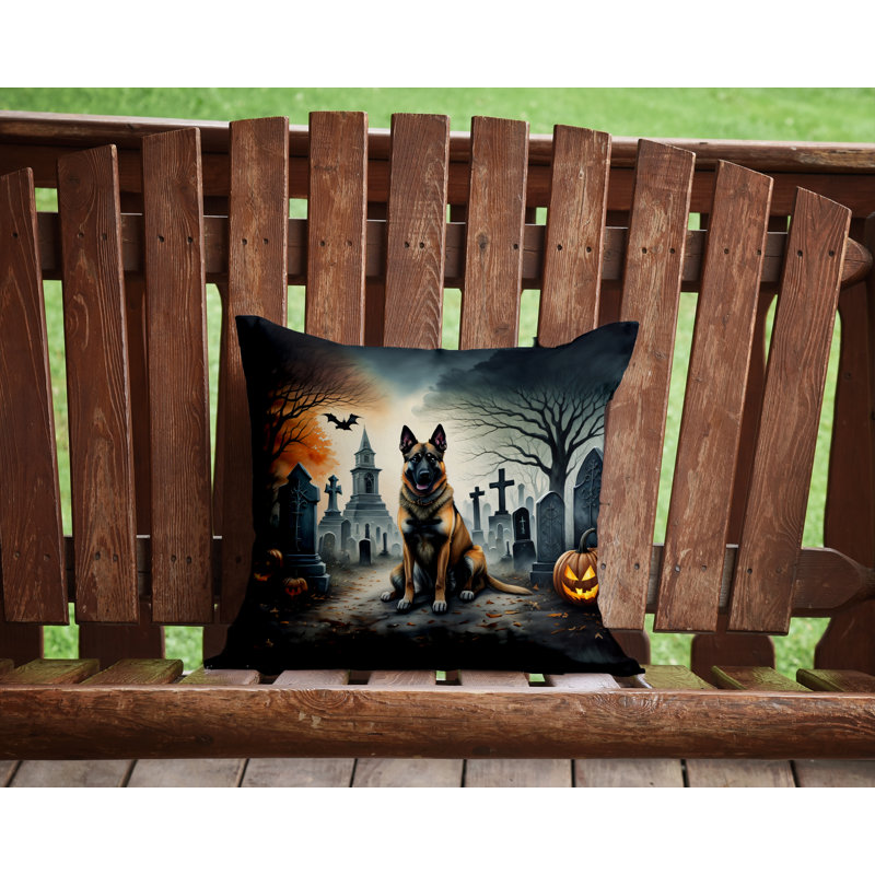Other/No Pattern Outdoor Throw Pillow, 14" x 14"