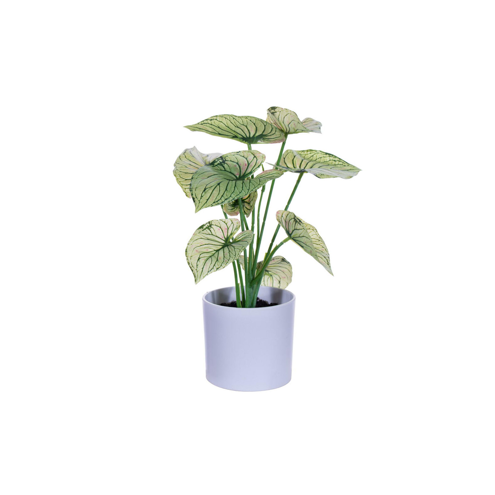 11.5'' Faux Plant in Pot, Light Green