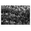 Photographers Lane - Wrapped Canvas Print-22471949