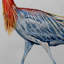  Housse et insert de coussin carré rouge Reddish Egret-27006922