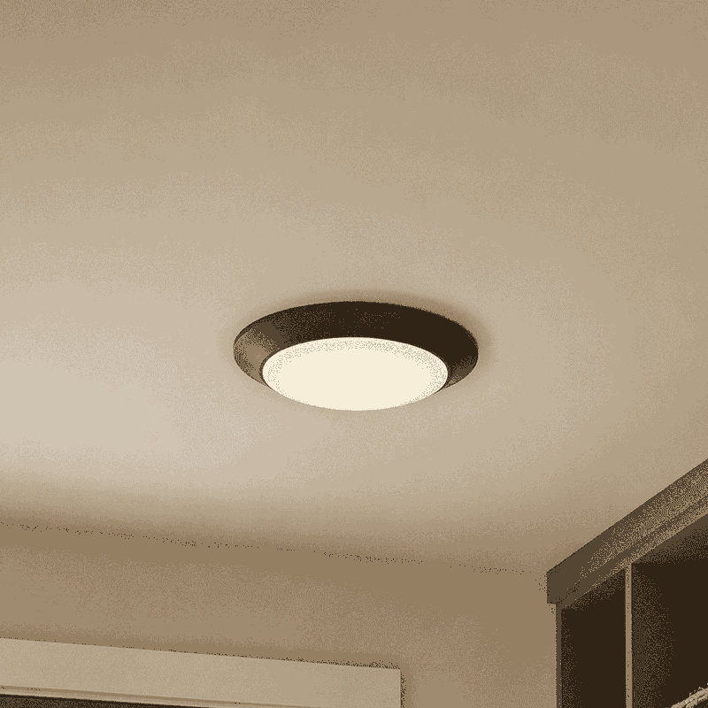 Mahdeen Acrylic LED Flush Mount in Bronze, Bronze