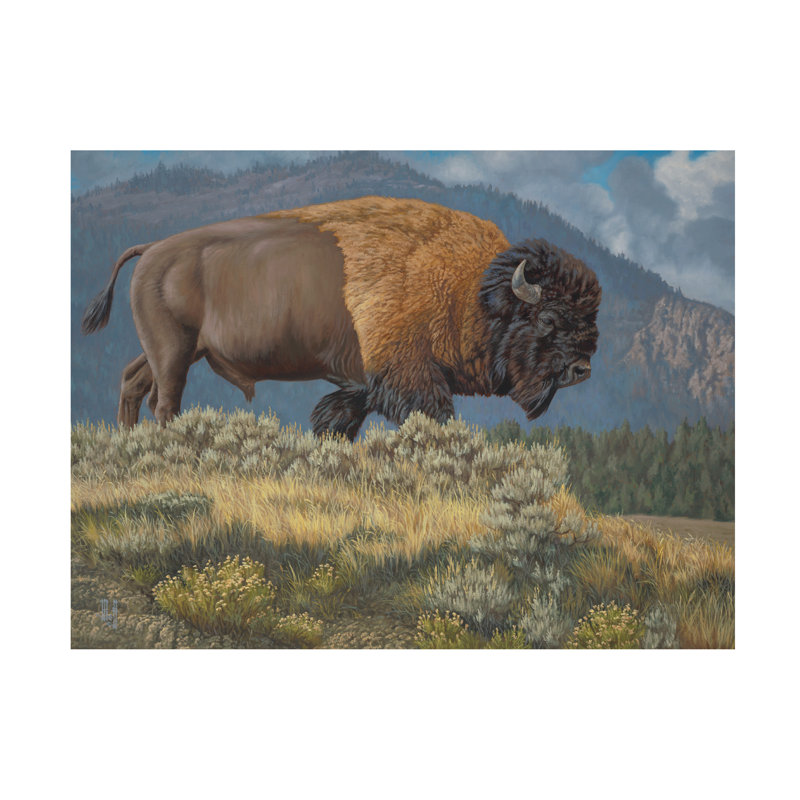 Art sur toile Jeff Hoff Ridge, H 35 po x l 47 po