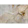 Premium Machine Washable Cerrito AMF506 Beige Rug