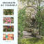 Outsunny 223cm Garden Arch Trellis Outdoor Wedding Arbor for Ceremony