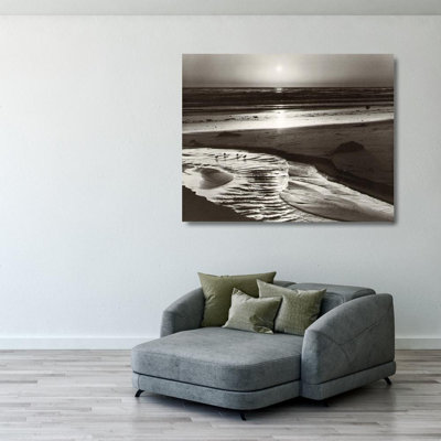 Oiseaux sur une plage