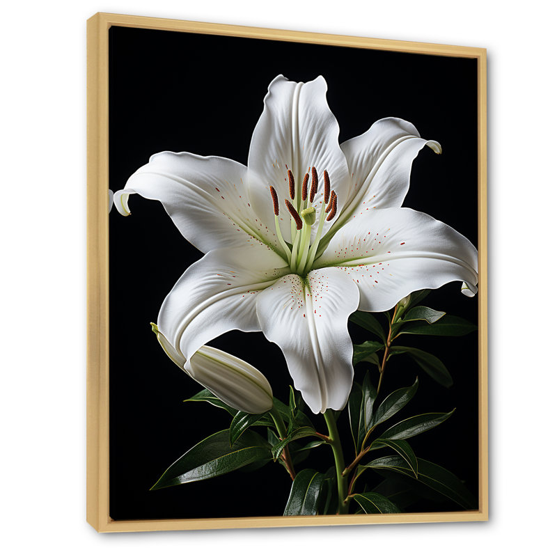 Impression sur toile encadrée, "Black Lily", H 44 po x l 34 po x P 1,5 po, Cadre flottant en érable