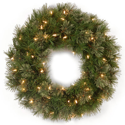 24in. Atlanta Spruce Wreath with Clear Lights