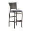 Skye 30" Patio Bar Stool with Cushion-1988137795-1998864656-1998878732