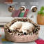 Canapé pour chien en cuir et léopard-50234911