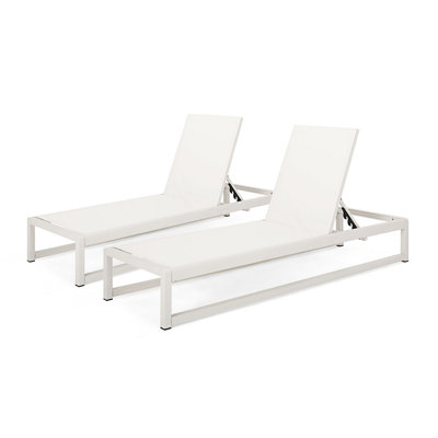 Roberson Outdoor Metal Chaise Lounge Set