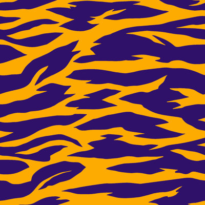 «Tiger Print Stripes Texture» par Galina Kamenskaya, impression sur toile tendue