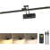23.6 in. LED Picture Light with Remote Control Dimmable Multiple Colour Temperatures Rotatable and Timer
