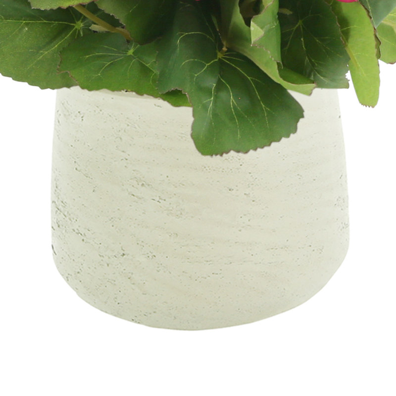 Begonia Floral Arrangement, Beige, Pink