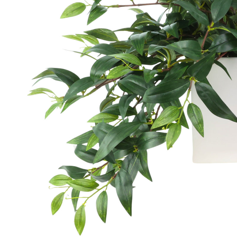 Nature's Elegance Faux Ruscus Plant in Ceramic Pot