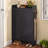 Shoe Storage Cabinet With 2 Flip Drawers: Large Capacity Storage, Suitable For Home Entryways And Public Shoe Changing Areas.-1074731194