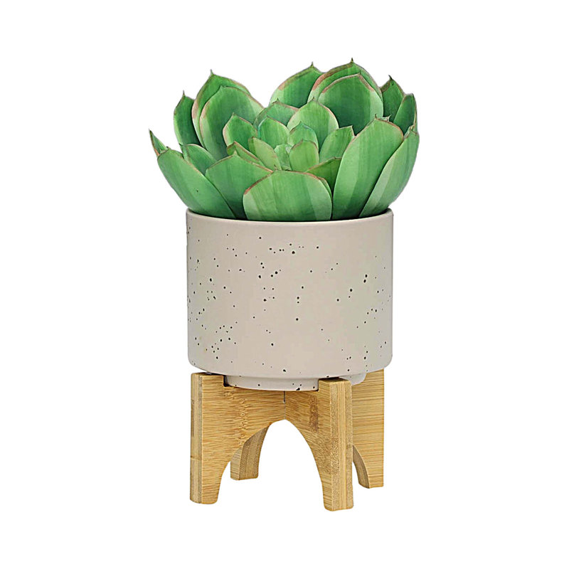 PLANTER W/ WOOD STAND,  unique planters, Beige